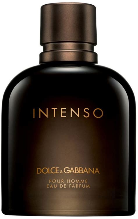 dolce and gabbana men's cologne|dolce and gabbana intenso fragrantica.